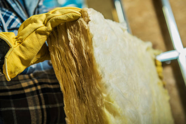 Best Wall Insulation Contractor  in Marshall, TX